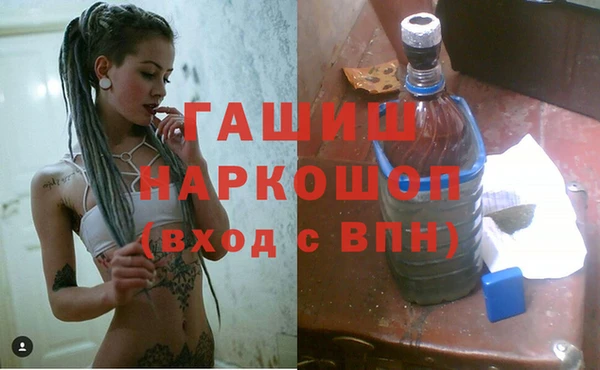 ECSTASY Бородино